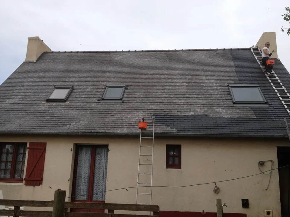 Maison avec toiture sombre et échelle