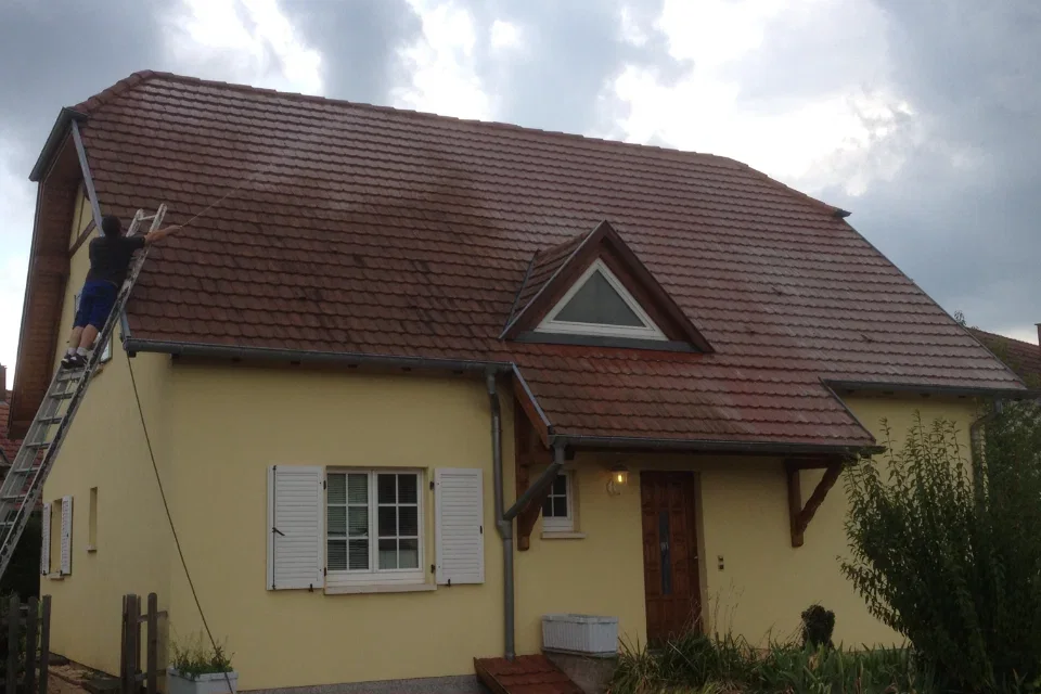 Maison à toiture sombre
